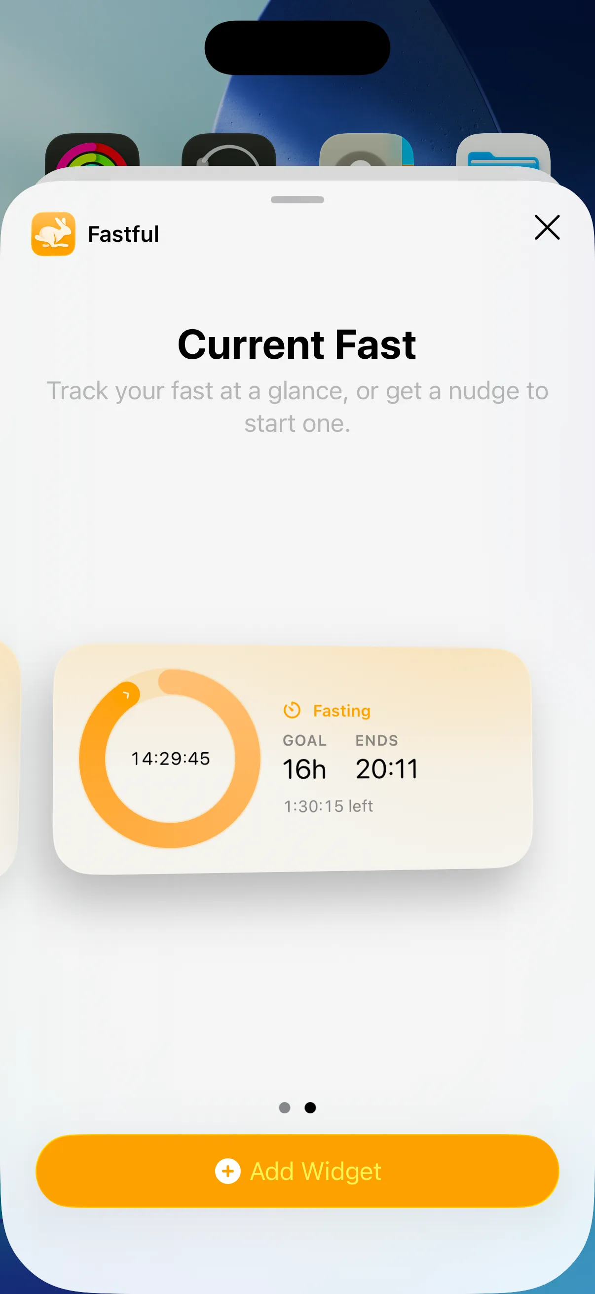 Settings: display, daily reminder, and CSV export